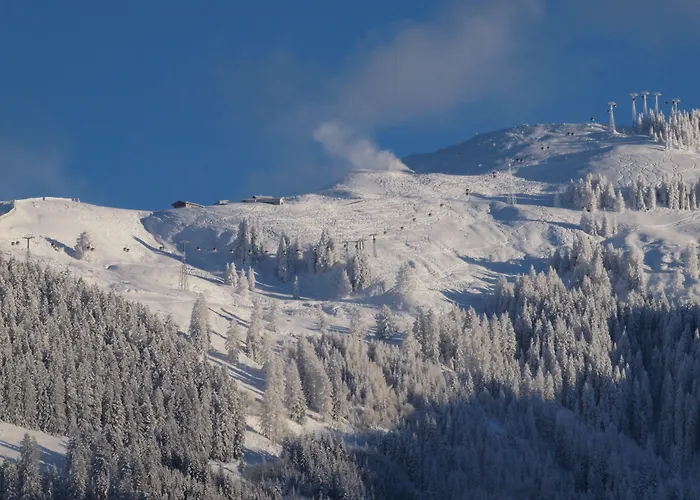 Tannenhof Pensión Kirchberg in Tirol