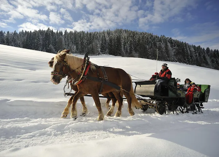 Fruehstueckspension Tannenhof