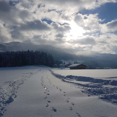 Fruehstueckspension Tannenhof بيت ضيافة كيرشبرغ ان تيرول